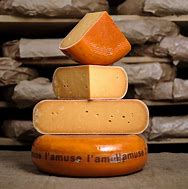 Gouda